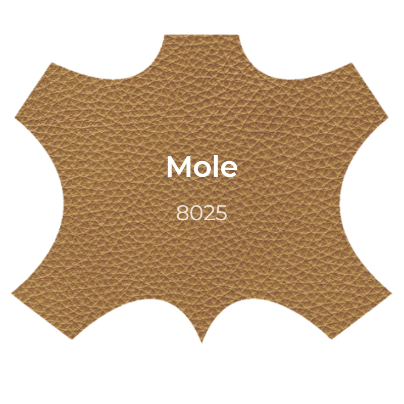 BD-mobel-mole BD-mobel-mole
