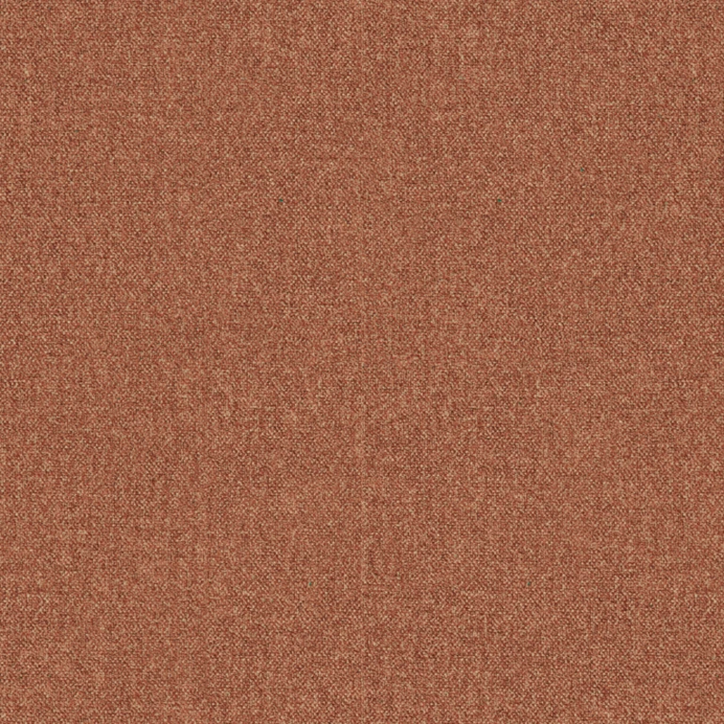 img-stella-54-cobber img-stella-54-cobber